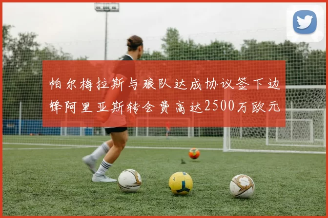 帕尔梅拉斯与狼队达成协议签下边锋阿里亚斯转会费高达2500万欧元